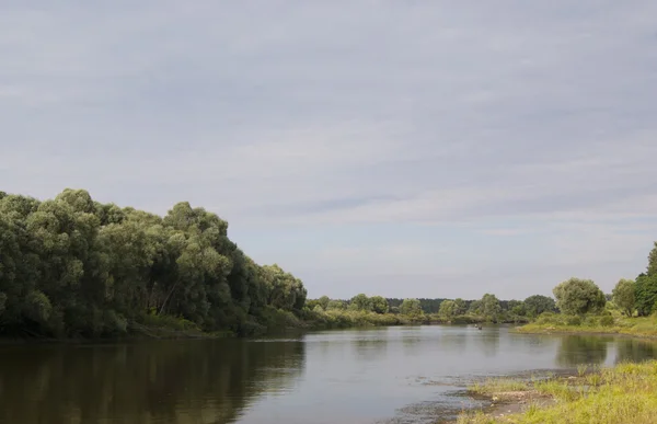 Orilla baja del río Desna — Foto de Stock