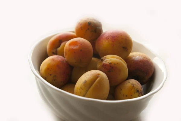 Aprikoser i en skål — Stockfoto