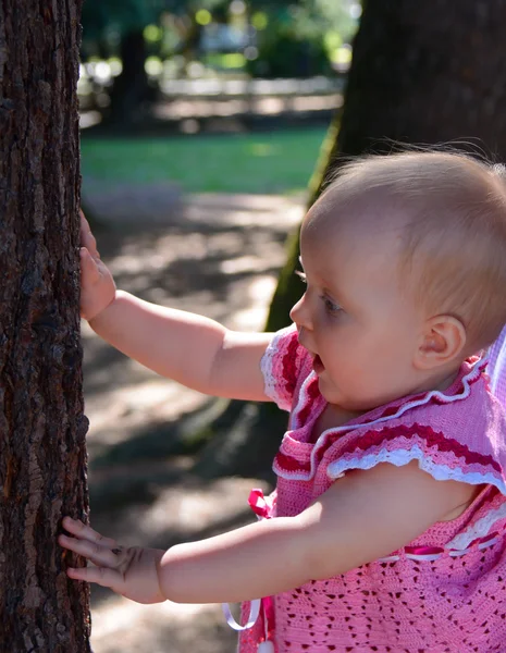 Near the tree — Stock Photo, Image