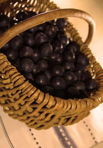 Berries of ripe blackthorn in a basket — Stock Photo, Image