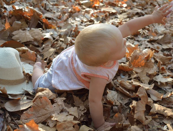 A cute baby on the autumn leaves — Stock Photo, Image