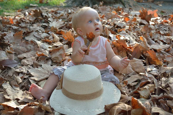 A toddler in the autumn leaves — Stock Photo, Image