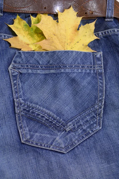 Джинсы с кожаным ремнем, с кленовыми листьями — стоковое фото