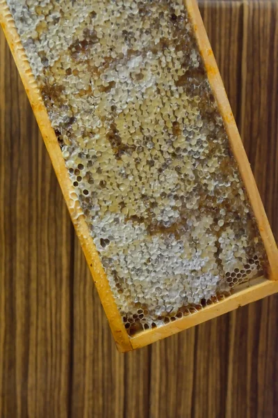 closeup kapalı bir çerçeve içinde bal