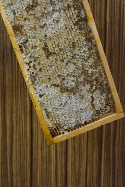 Close-up da moldura de madeira com mel fresco — Fotografia de Stock