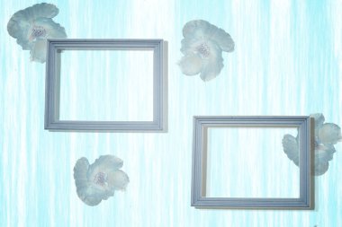 Vintage turqouise çerçeveler haşhaş tohumu duvar üzerinde