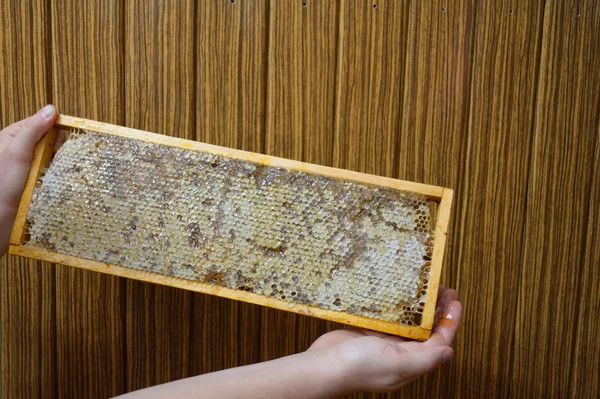 Man holding a wooden frame with honey — Stock Photo, Image