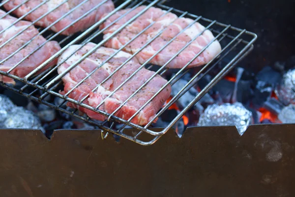 Steaks liegen auf dem Grill auf der Asche — Stockfoto