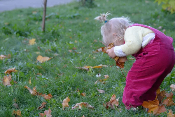 Mała dziewczynka gięcia wybrać liści — Zdjęcie stockowe