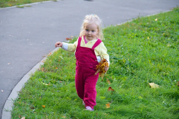 Dziewczyna, chodzenie w trawie z liści jesienią — Zdjęcie stockowe