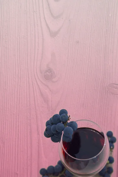 Vinho em um copo no fundo rosado desbotando, com uvas — Fotografia de Stock