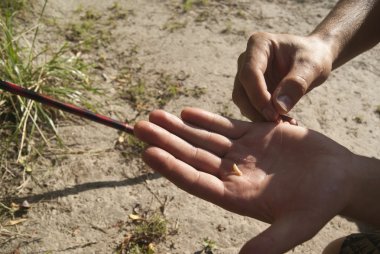 Oltaya bir moggot koyarak balıkçı