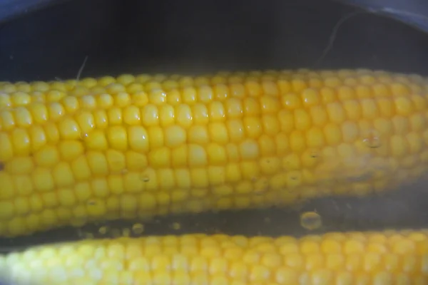 Closeup of boiling corn in a pan — Stock Photo, Image