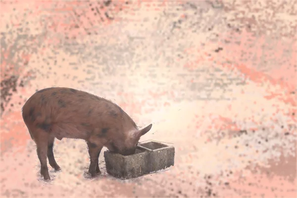 Fundo marrom macio com uma alimentação de porco — Fotografia de Stock