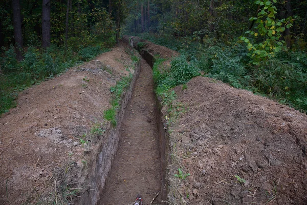 Grande longue tranchée dans la forêt — Photo