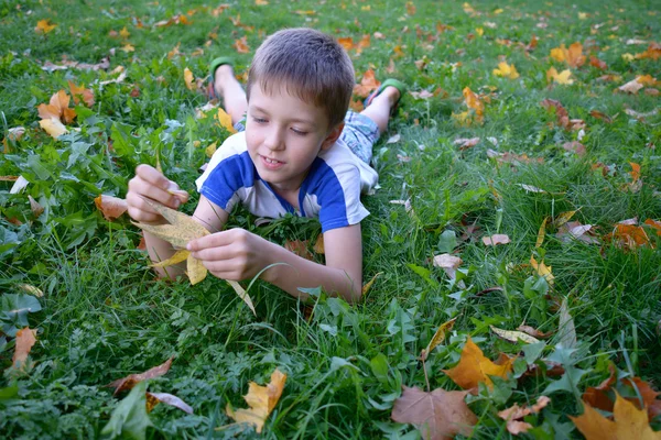 Boy explore les feuilles jaunes d'automne — Photo