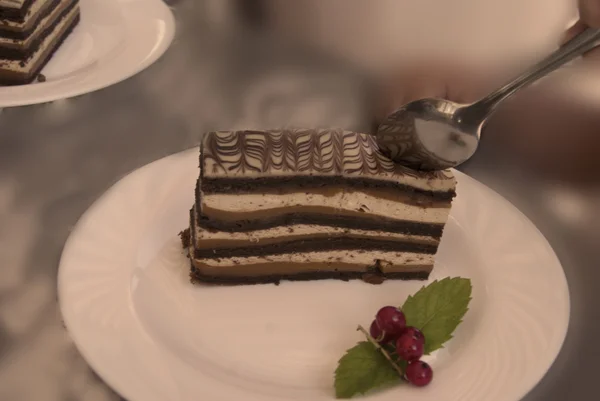 Placas com bolo de chocolate em camadas, sépia tonificada — Fotografia de Stock