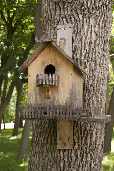 Casa di legno per uccelli sul tronco d'albero — Foto Stock