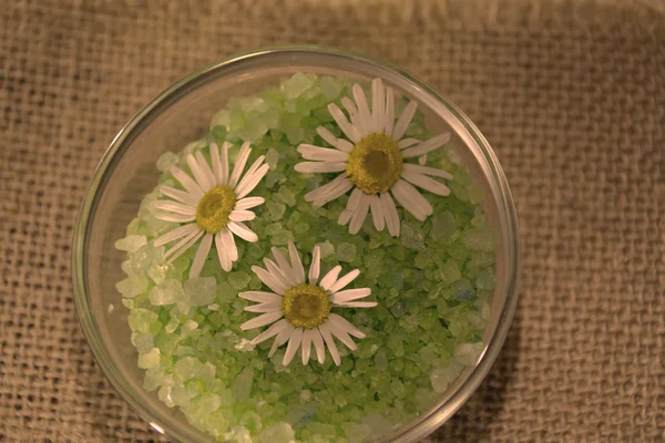 Bol de sel vert avec des fleurs de camomille — Photo
