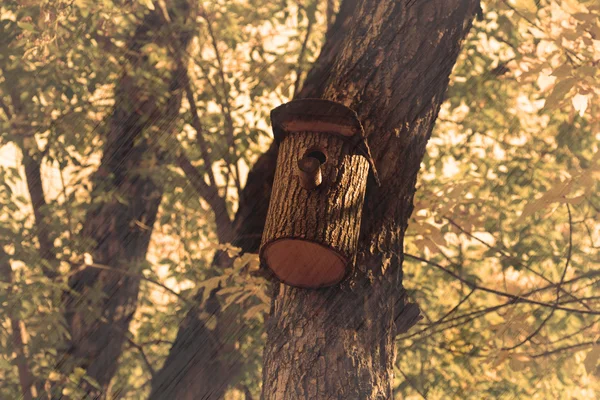 Piccola casetta per uccelli nell'albero sotto forma di tronco d'albero — Foto Stock