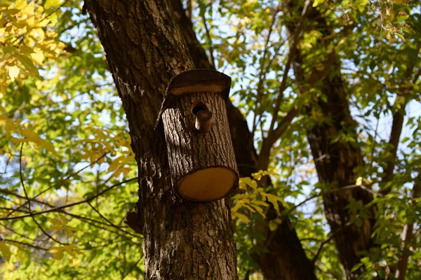 Птичий домик на дереве в виде ствола дерева — стоковое фото
