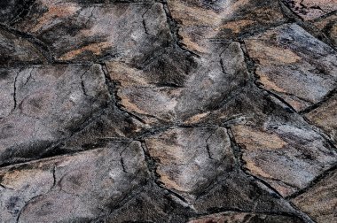 Eski renk grunge vintage eskimiş arka plan soyut antika desenli retro desenli