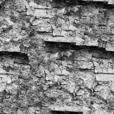 Doğal desenli soyut koyu grunge arkaplanı