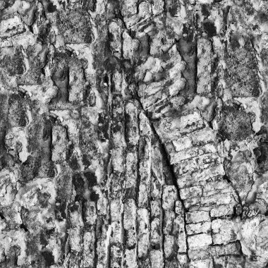 Doğal desenli soyut koyu grunge arkaplanı