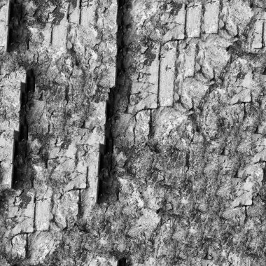 Doğal desenli soyut koyu grunge arkaplanı