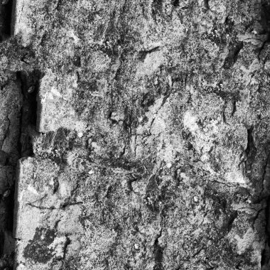 Doğal desenli soyut koyu grunge arkaplanı