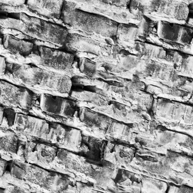 Doğal desenli soyut koyu grunge arkaplanı