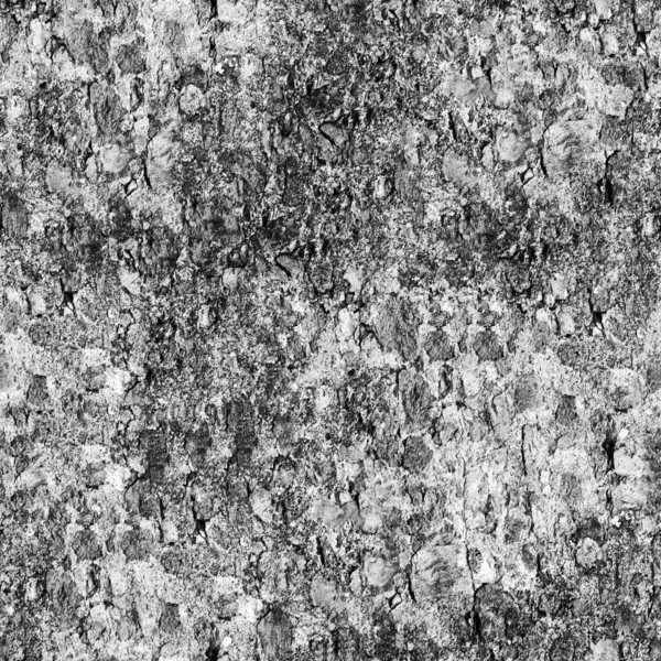 Abstraktní Tmavé Grunge Pozadí Přirozeným Vzorem — Stock fotografie