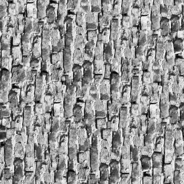 Soyut koyu grunge arkaplan, doğal desen   