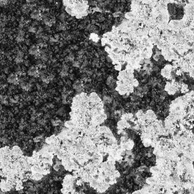 Soyut koyu grunge arkaplan, doğal desen   