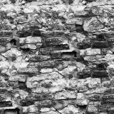 Soyut koyu grunge arkaplan, doğal desen   