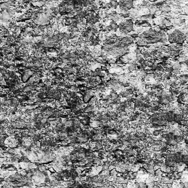 Abstract Dark Grunge Backdrop Natural Pattern — Stock Photo, Image
