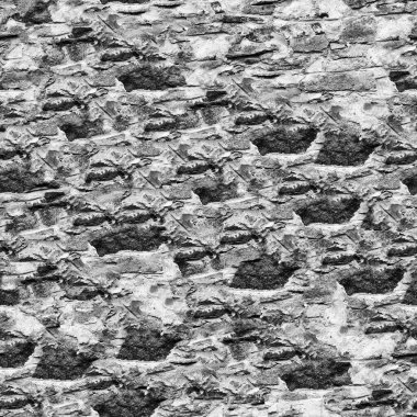 Doğal desenli soyut koyu grunge arkaplanı