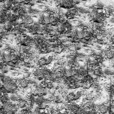 Soyut koyu grunge arkaplan, doğal desen