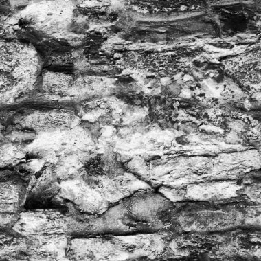 Soyut koyu grunge arkaplan, doğal desen