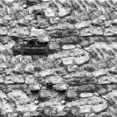 Soyut koyu grunge arkaplan, doğal desen