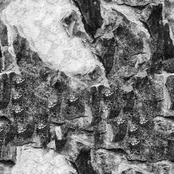 Abstrakt Mörk Grunge Bakgrund Naturligt Mönster — Stockfoto