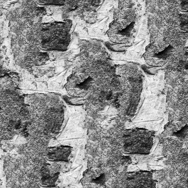 Soyut koyu grunge arkaplan, doğal desen