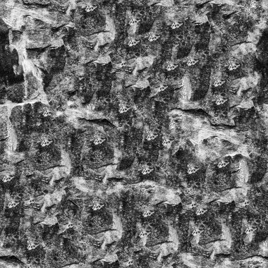 Soyut koyu grunge arkaplan, doğal desen