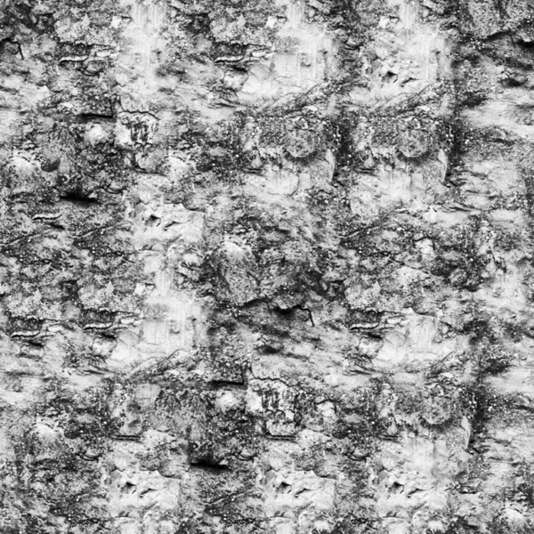 Αφηρημένο Σκοτεινό Φόντο Grunge Φυσικό Μοτίβο — Φωτογραφία Αρχείου
