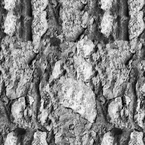 Vecchia Texture Muro Pietra — Foto Stock