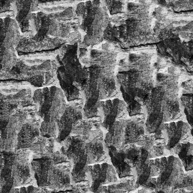 Eski grunge duvar dokusu