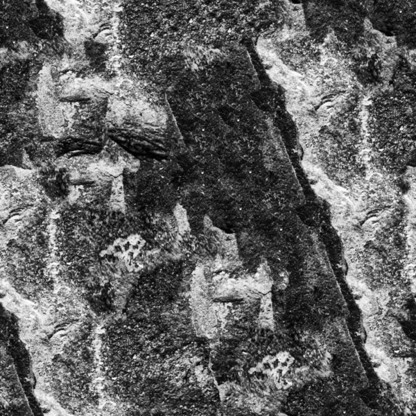 Textura Pared Piedra Grunge Blanco Negro — Foto de Stock