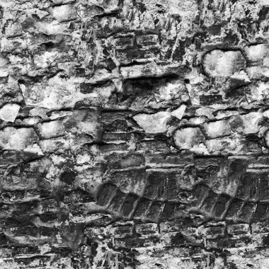 Siyah ve beyaz grunge taş duvar dokusu