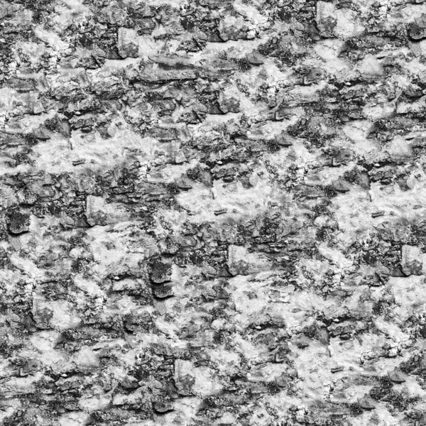 Textura Pared Piedra Grunge Blanco Negro — Foto de Stock