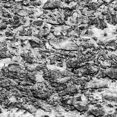 metin veya resim için alanı olan grunge arkaplanı